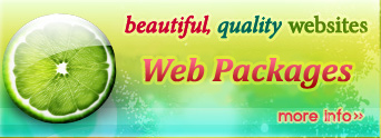 beautiful and professional web services starting at $390. Cheap websites!